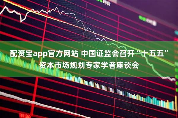 配资宝app官方网站 中国证监会召开“十五五”资本市场规划专家学者座谈会