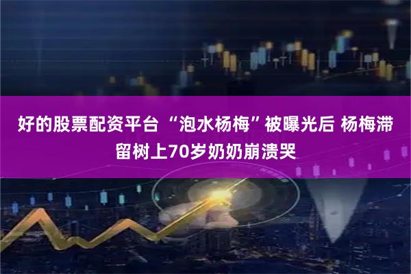 好的股票配资平台 “泡水杨梅”被曝光后 杨梅滞留树上70岁奶奶崩溃哭