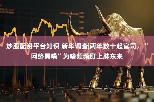 炒股配资平台知识 新华调查|两年数十起官司，“网络黑嘴”为啥频频盯上胖东来
