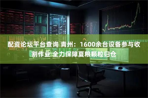 配资论坛平台查询 青州：1600余台设备参与收割作业 全力保障夏粮颗粒归仓